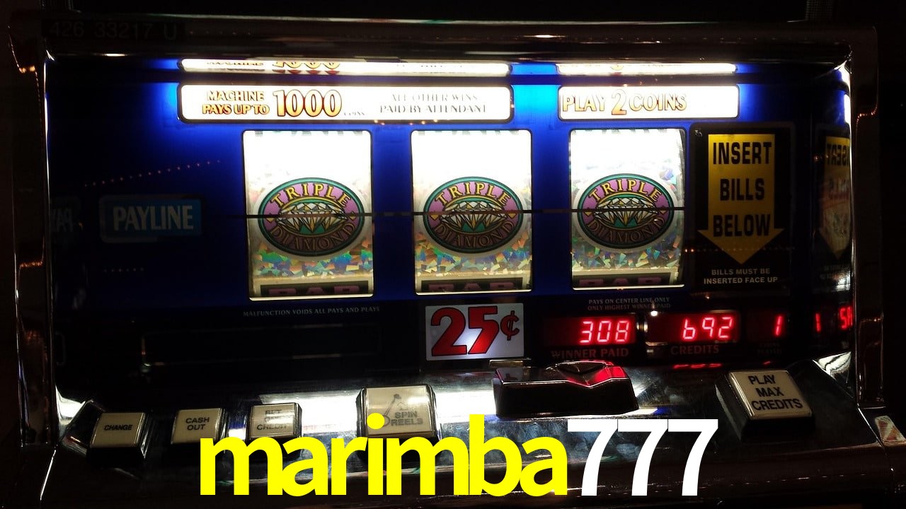 Sports Statistics marimba777
